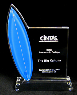 3D Surfing Trophies and Awards